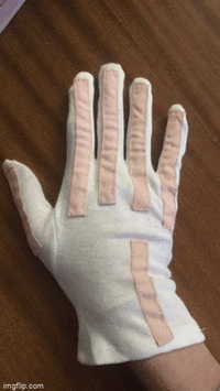 Sewn Glove